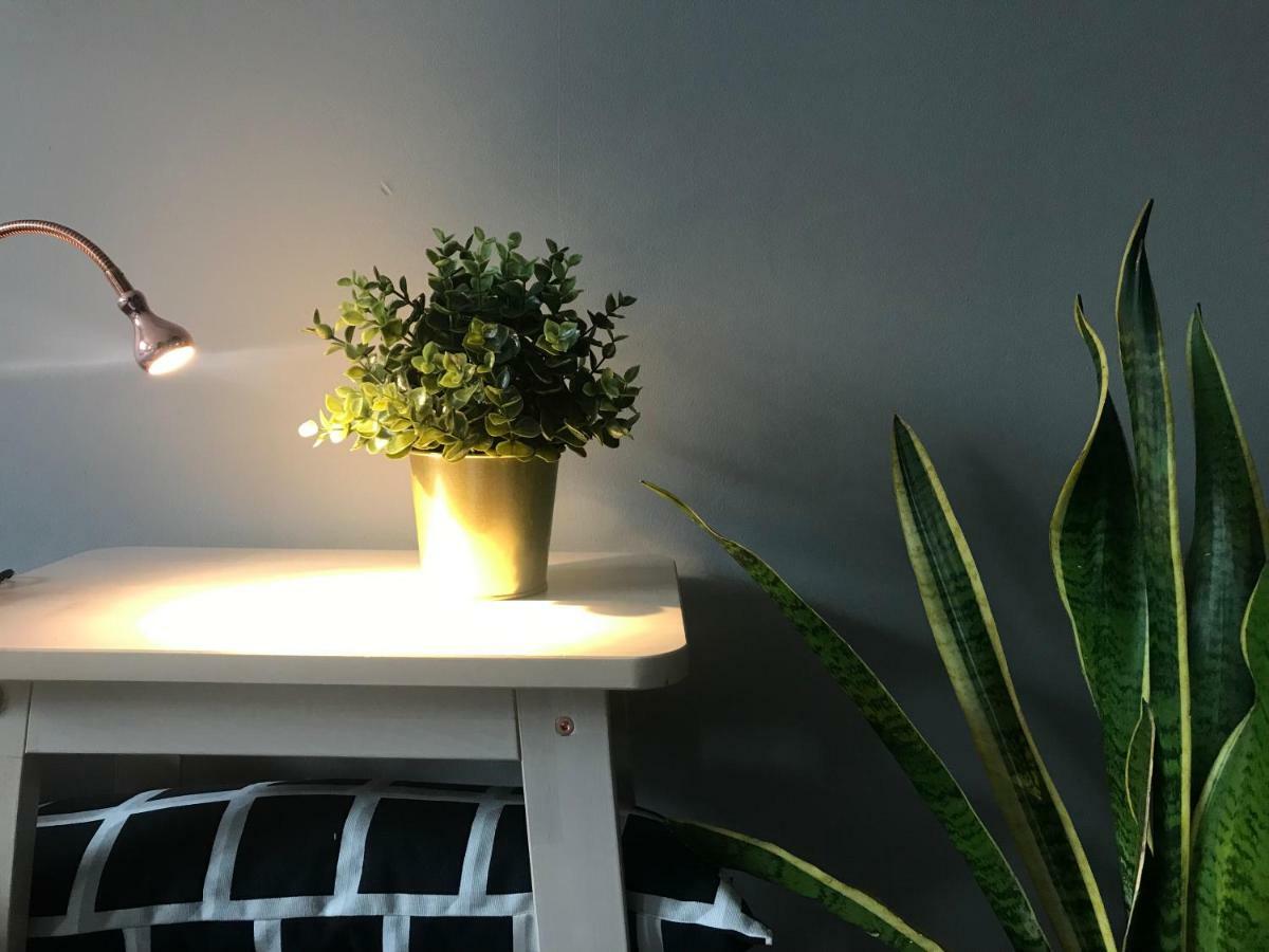 Apartament Centrum 지엘로나구라 외부 사진