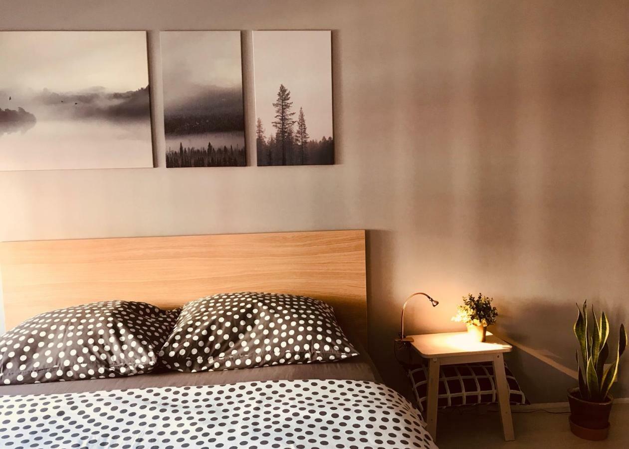 Apartament Centrum 지엘로나구라 외부 사진